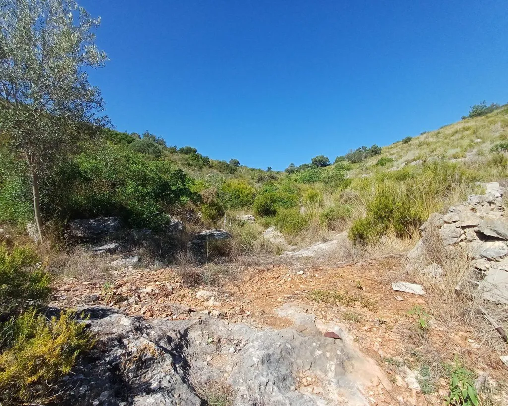 Jardin - Country Property with Hostel Potential in Oliva