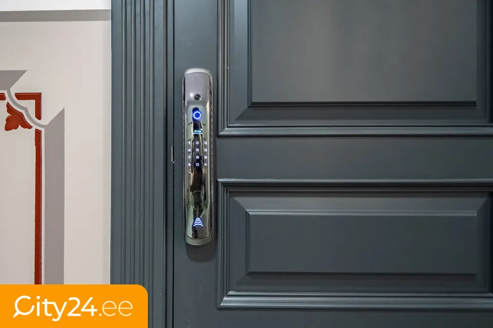Entrée - Renovated 2-Bedroom Flat in Quiet Centre