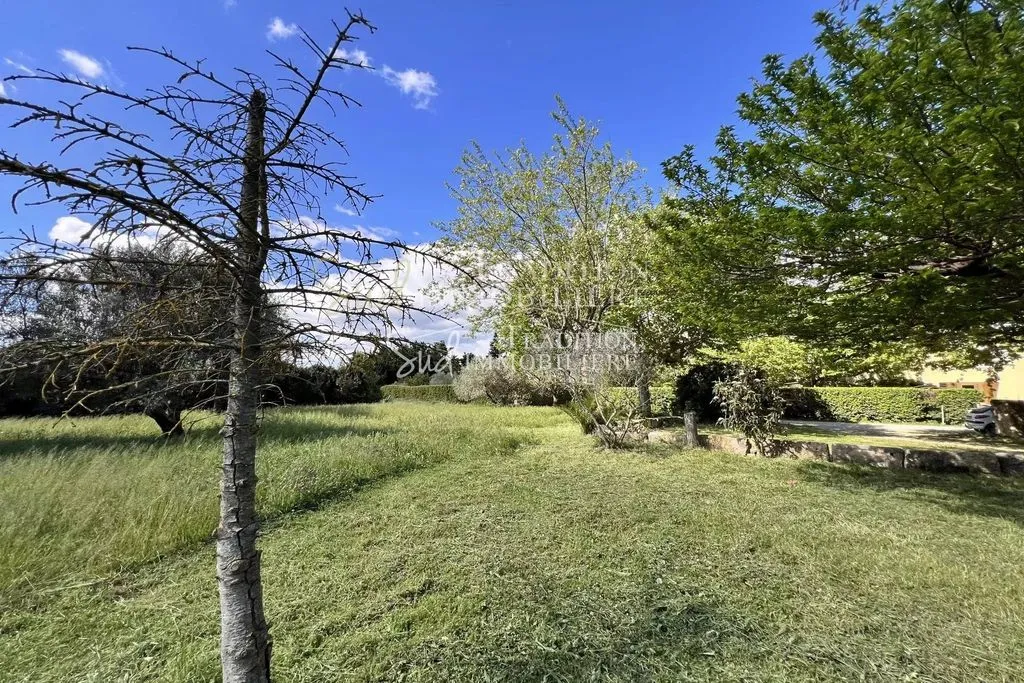 Aed - Luxury Villa to Renovate with Alpilles View