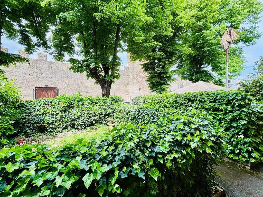 Jardin - Rear-Facing Apartment with Garden in Viterbo
