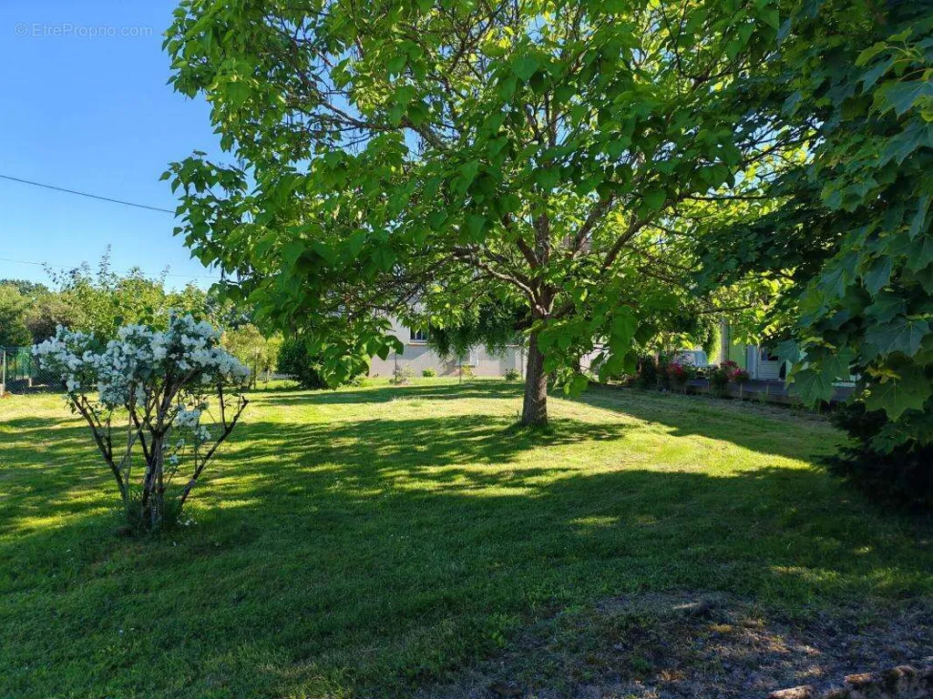 Jardin - Maison T4 au Calme avec Jardin à Montauban
