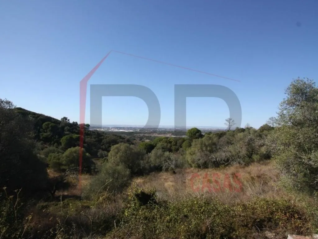 Aed - Farm with Panoramic View in Serra do Louro
