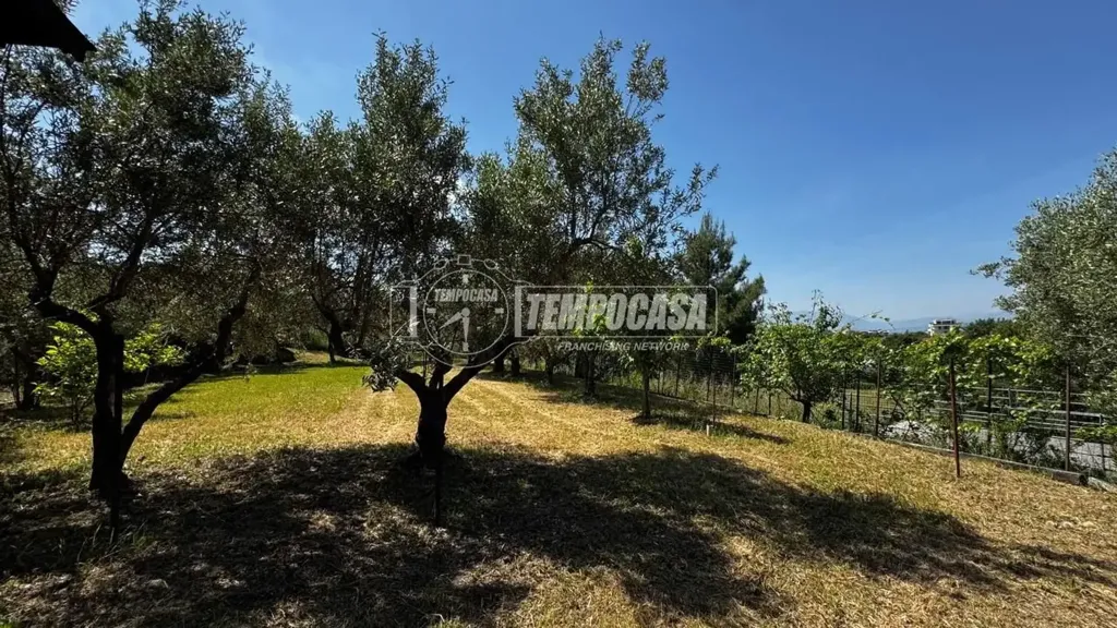 Jardin - Terraced Villa with Garden in Chieti