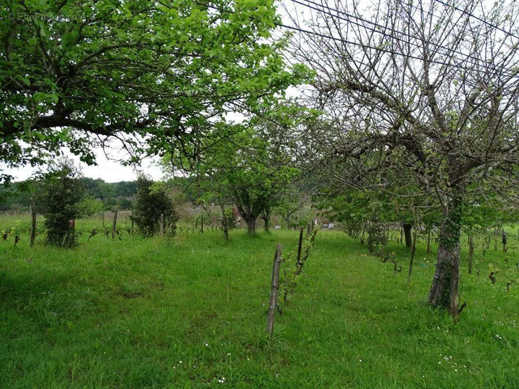 land_plot