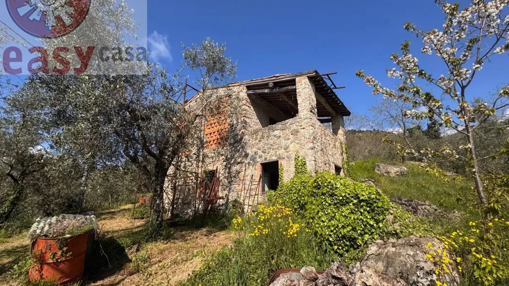 Extérieur - Rustic Property with Olive Grove in Lucca