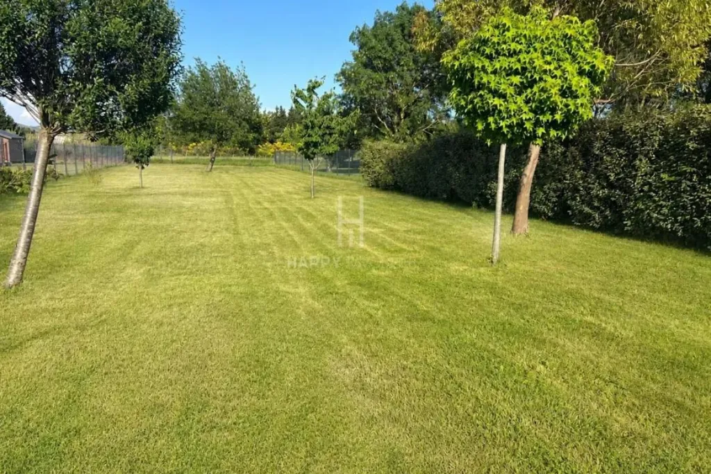 Jardin - Maison Moderne avec Terrasse à Paradou
