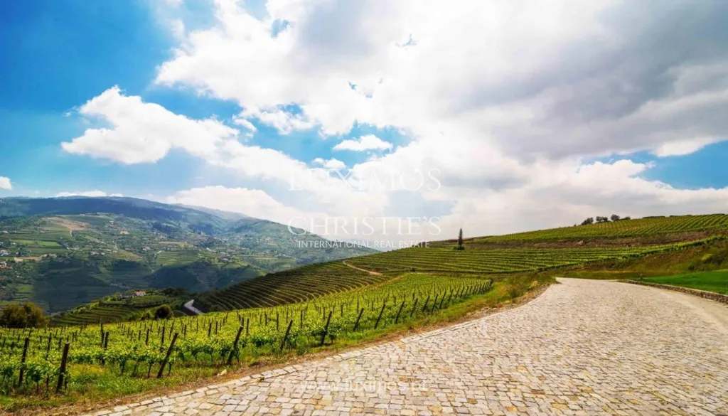5-Star Quinta with Vineyard Views in Douro Valley