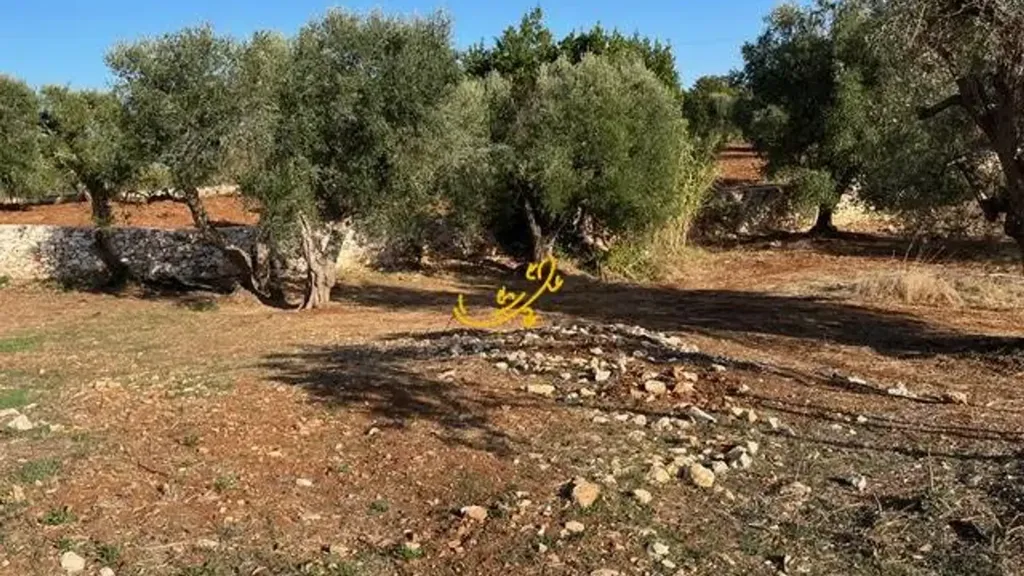 Jardin - Rustic Property with Pool Project in Ceglie Messapica