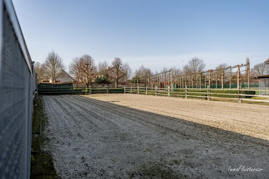 Jardin - Maison avec Écuries et Piste Extérieure à Bree