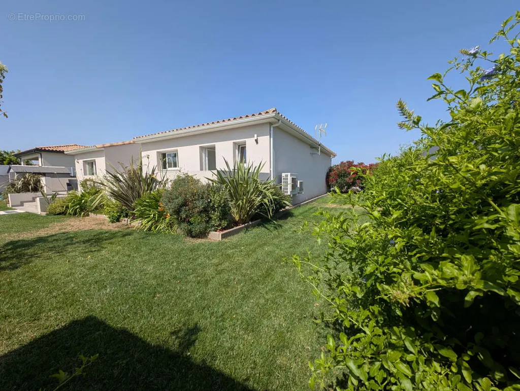 Aed - Luxury Villa with Pool in Canet