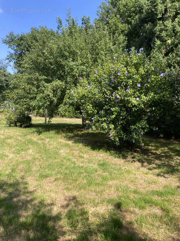 Aed - Longère with Dependencies in Countryside