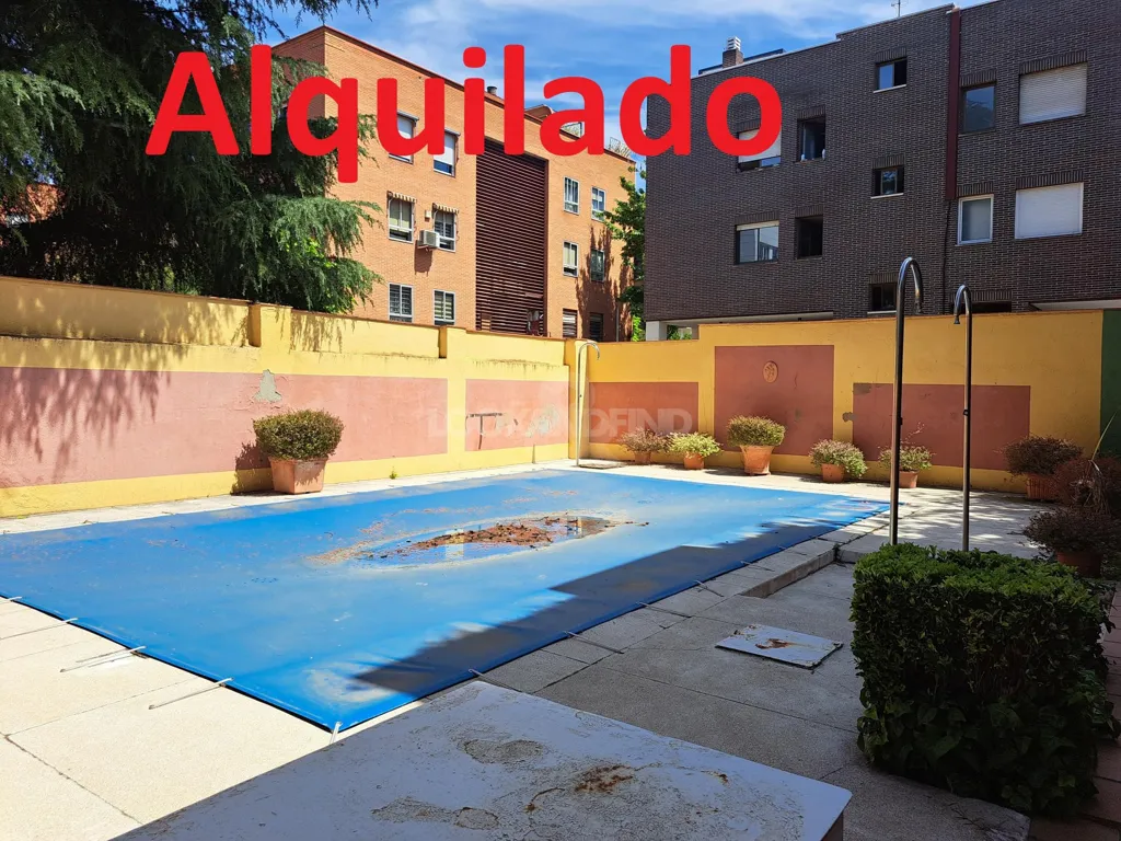 Bassein - One-Bedroom Flat with Terrace in Madrid, Quintana