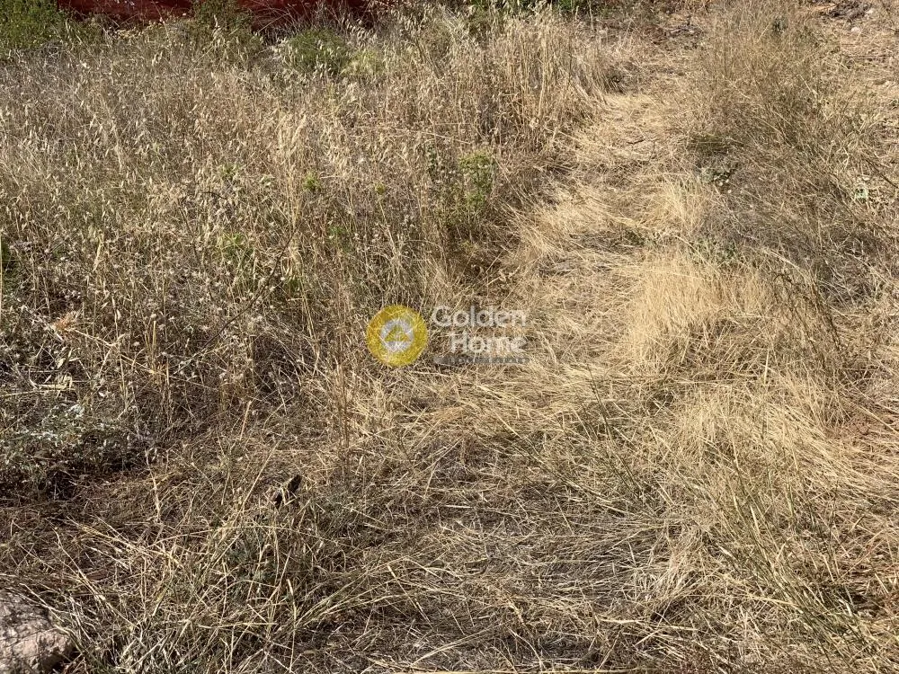 Garden - Plot with Sea View in Agia Paraskevi Centre