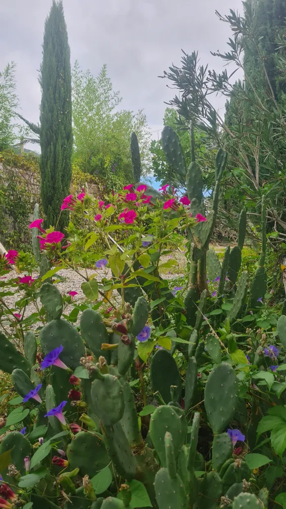 Jardin - Ensemble Maison + Restaurant avec Terrasse à Clermont-l'Hérault
