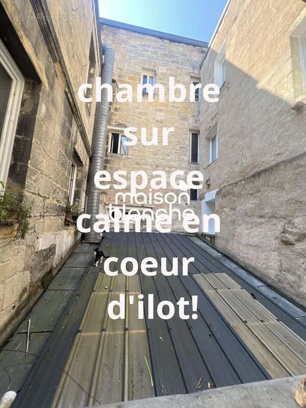 Jardin - Commerce avec Cour-Terrasse à Bordeaux