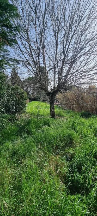 land_plot