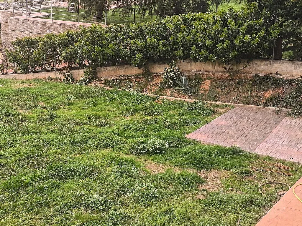 Jardin - Luxury Detached House with Wellness Features in Sabadell