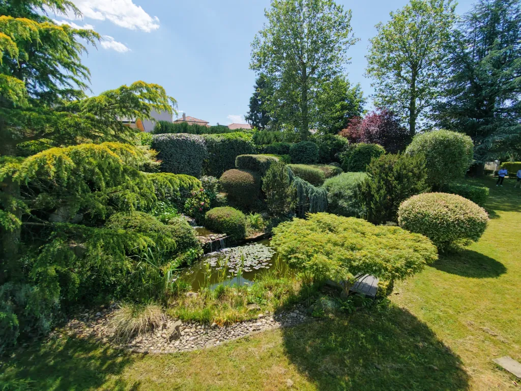Garden - Contemporary Villa with Pool in La Talaudière