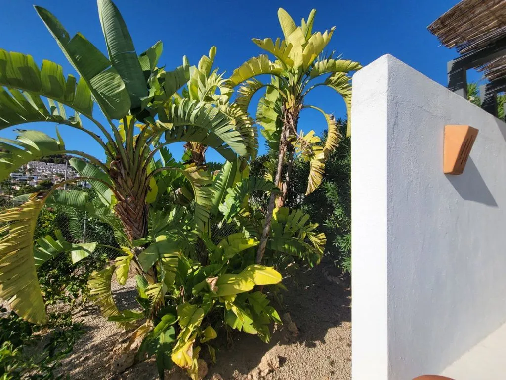 Terrasse - Luxury Villa with Pool in Calpe