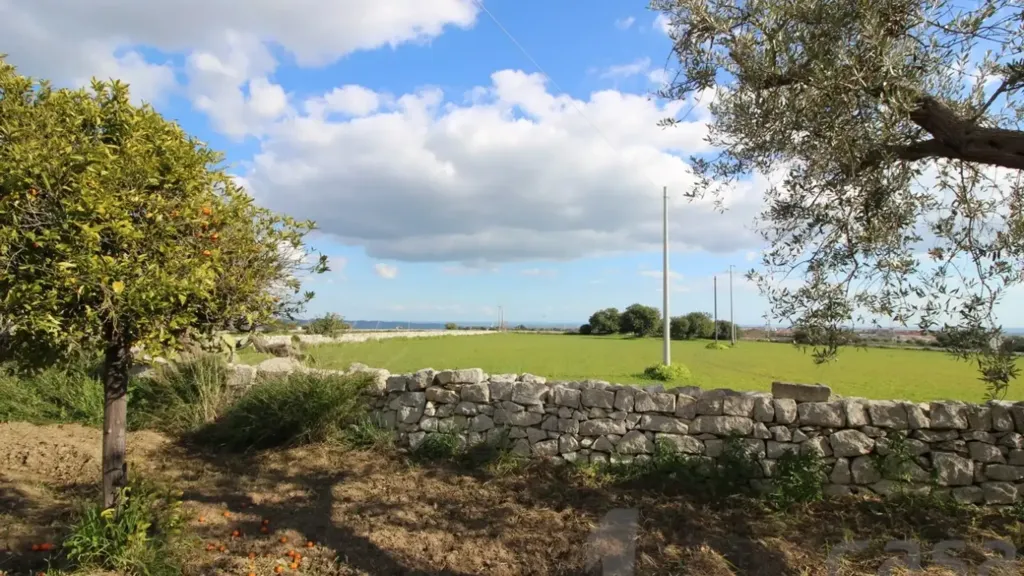 Aed - Rustic Farmhouse with Olive Grove near Rosolini