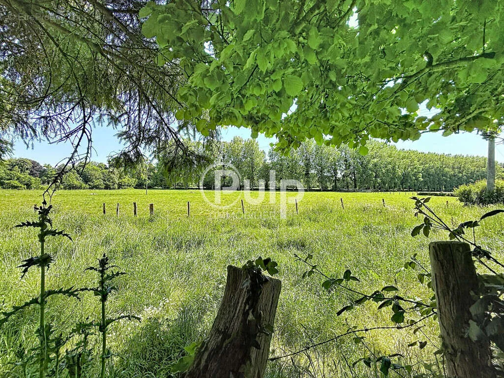 Aed - Farmhouse with Barns on 8,600m² in Countryside