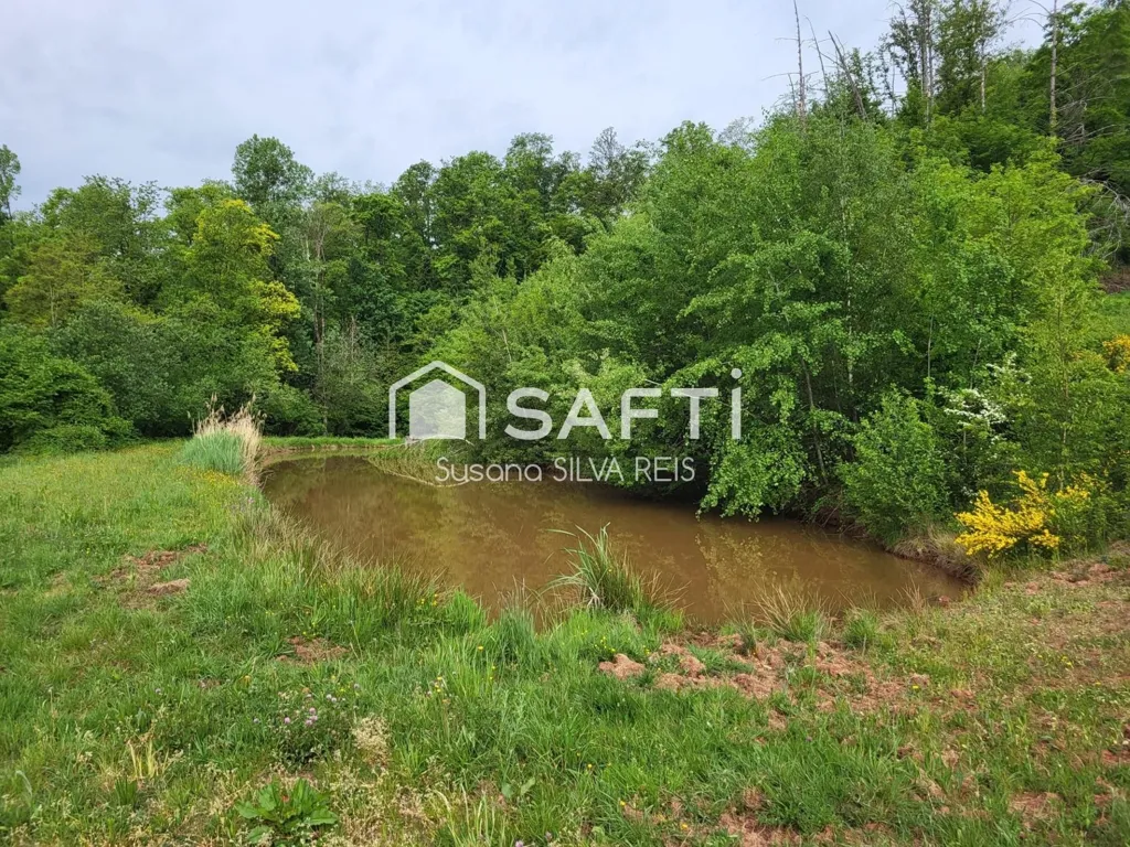 Giardino - House with Extensive Land in Ronchamp