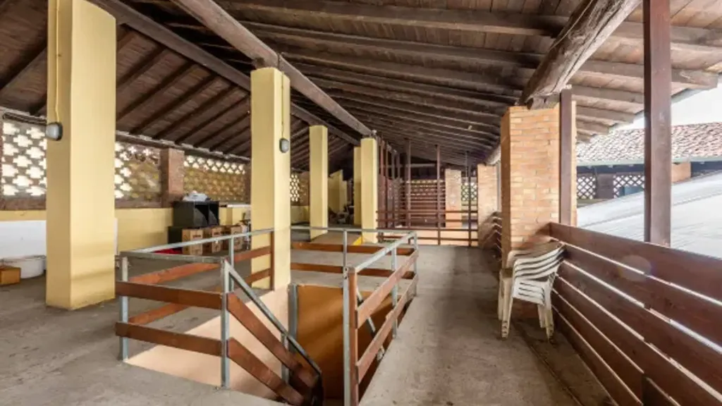 terrace_patio