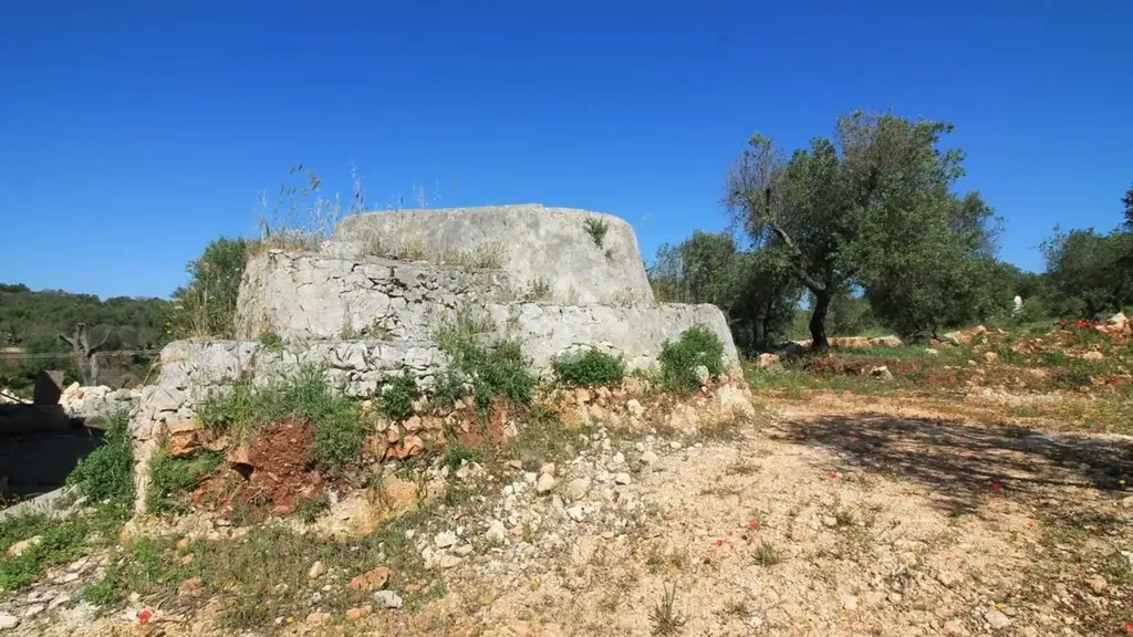 Aed - Rustic Trullo with Panoramic View in Ostuni