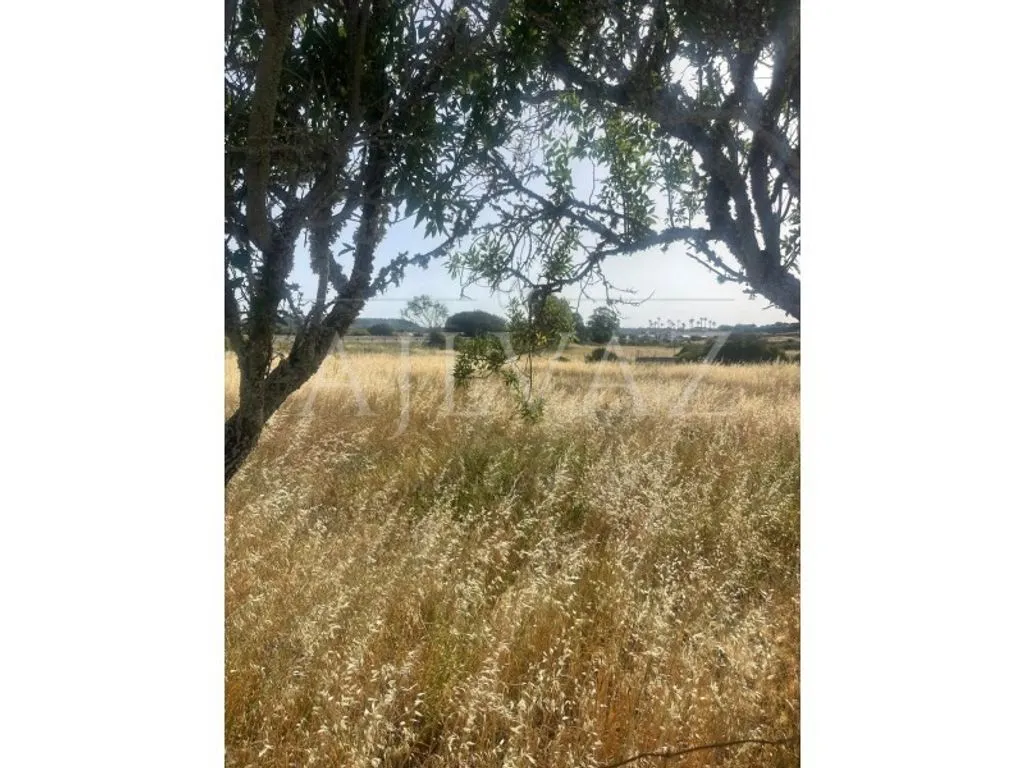 land_plot