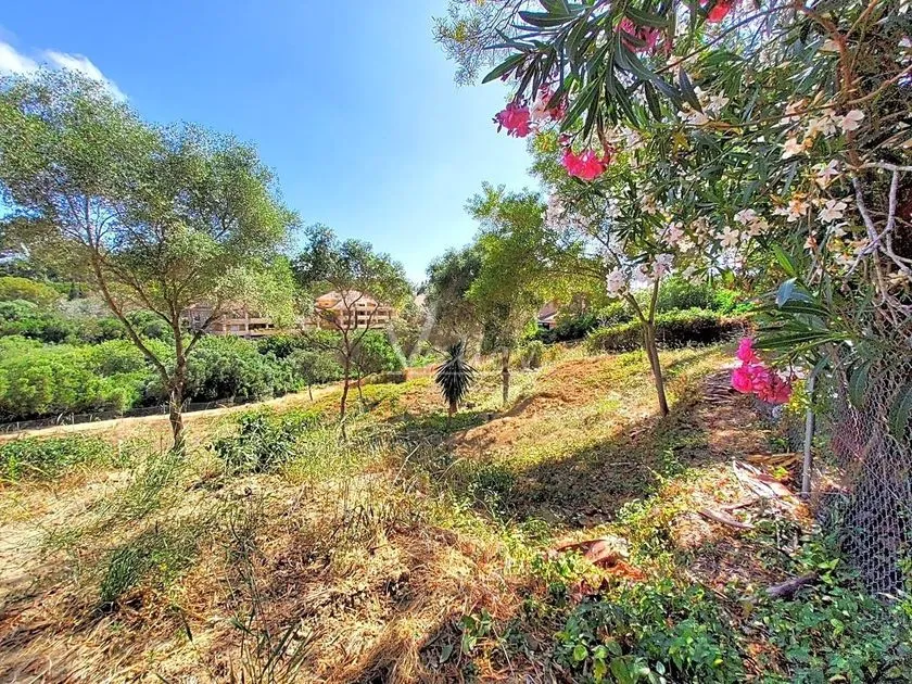Giardino - Chalet with Garden Views in Sotogrande