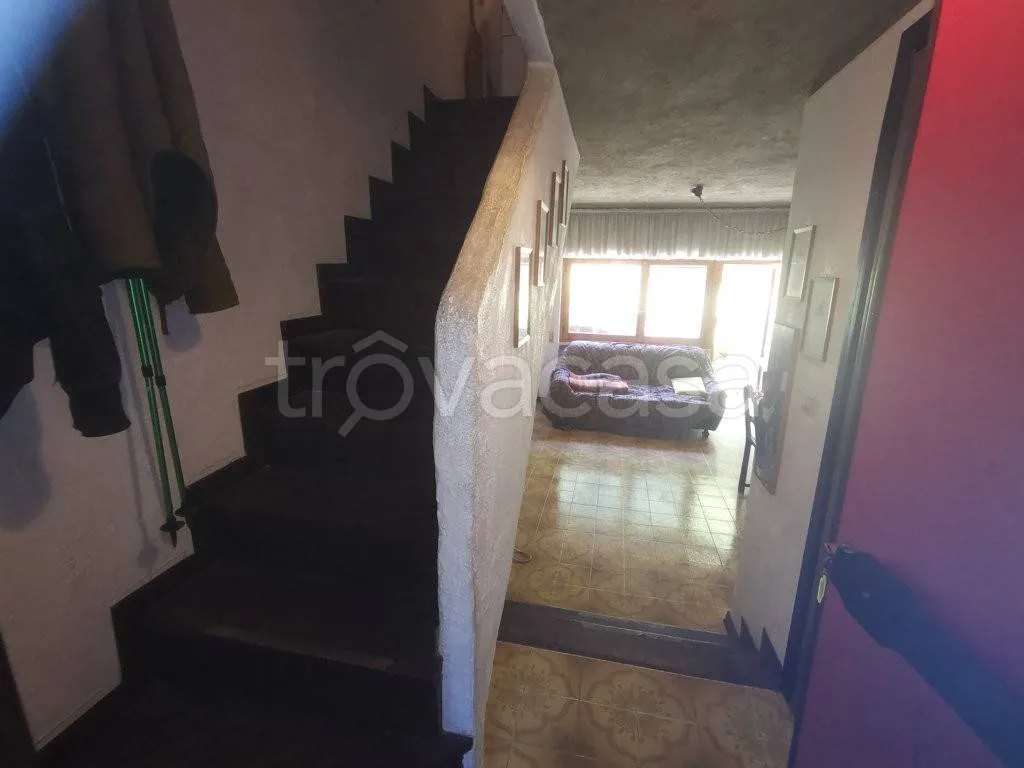 Toad - Apartment with Private Garden in Viola