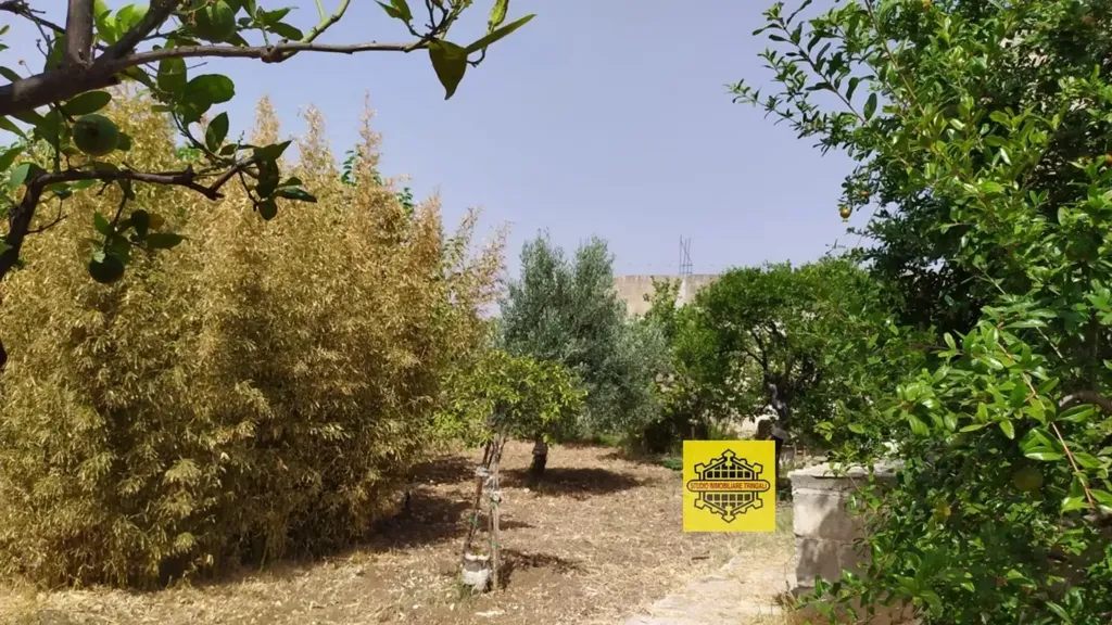 Rustic Property with Lemon Trees in Avola