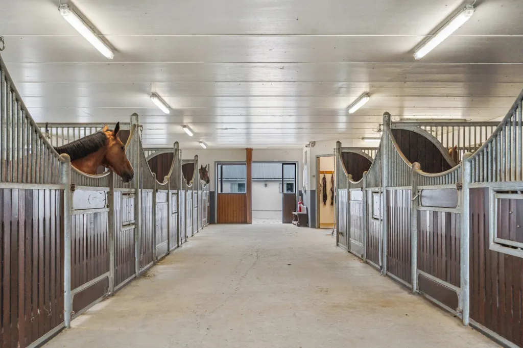 Entrée - Equestrian Estate with Spa in Vinding