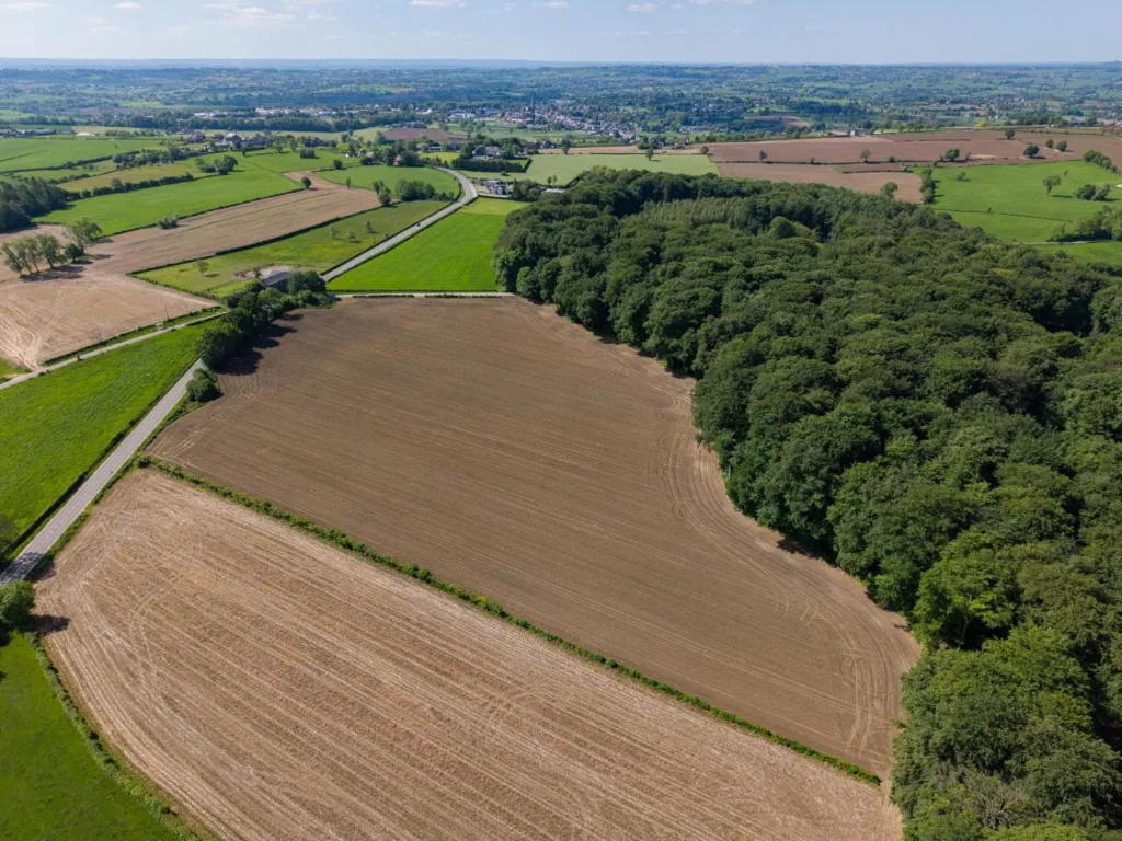 Vue aérienne - Terrain Agricole Plat à Rémersdael dans les Fourons