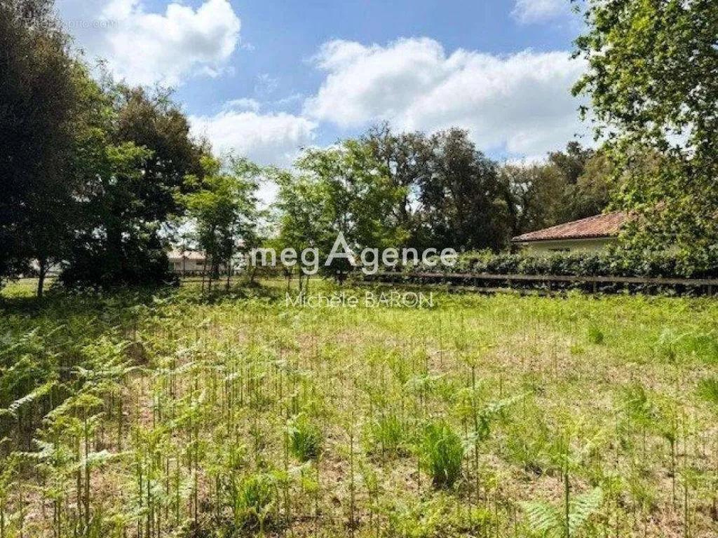 Aed - Buildable Plot with Golf Access in Moliets