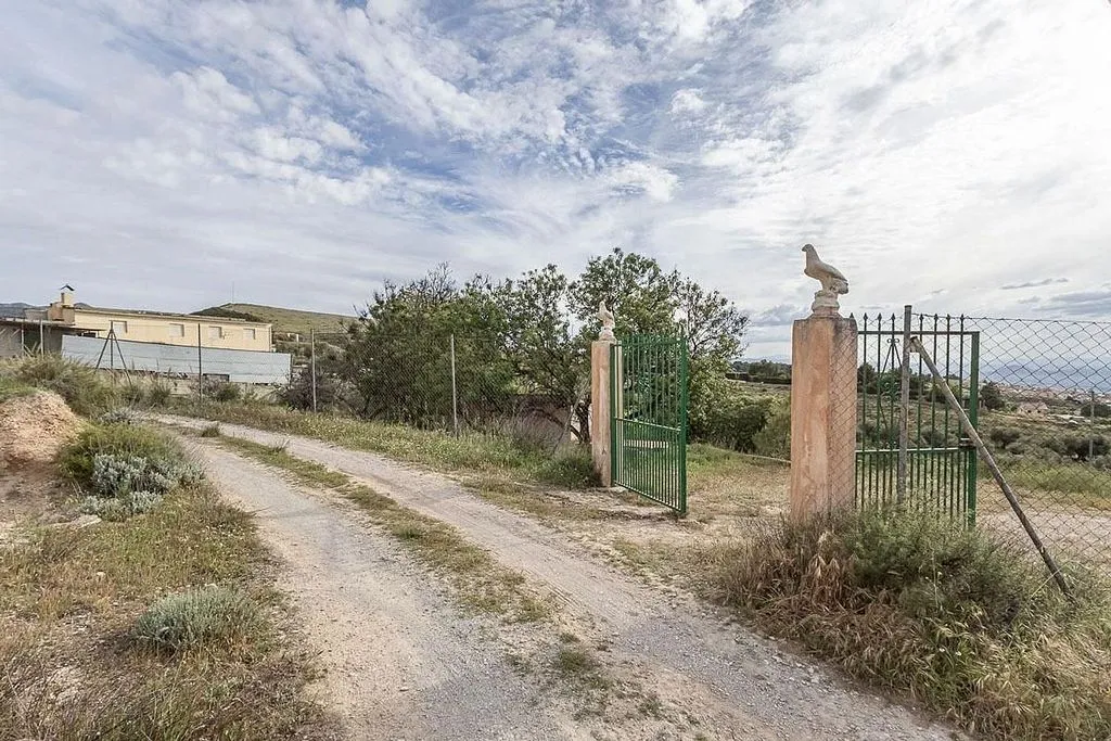 Exterior - Rustic Farmhouse with Olive Grove in Monachil