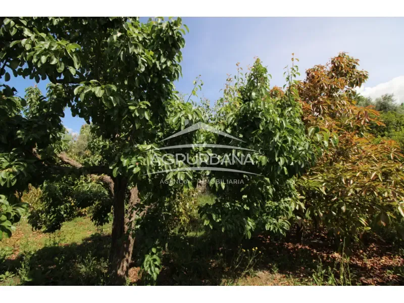 Aed - Rustic Farmhouse with Fruit Trees in Órgiva