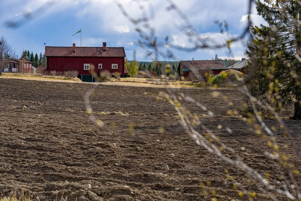 Aed - Farm with Land near Ås, Jämtland