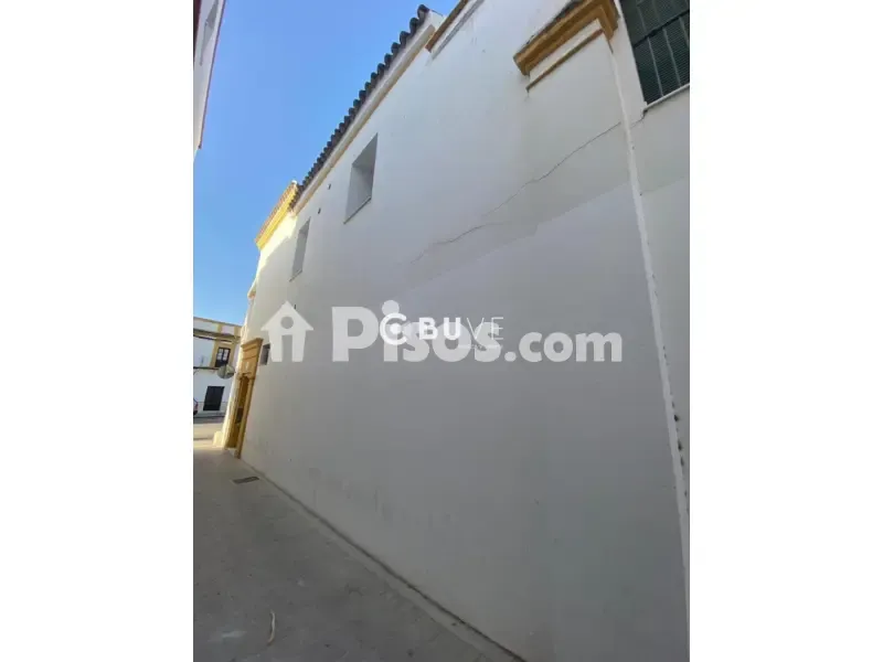 Garten - Señorial Patio House in Lebrija