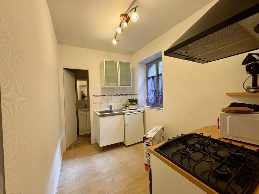 Cuisine - Appartement T1 Bis Meublé au Centre de Grenoble