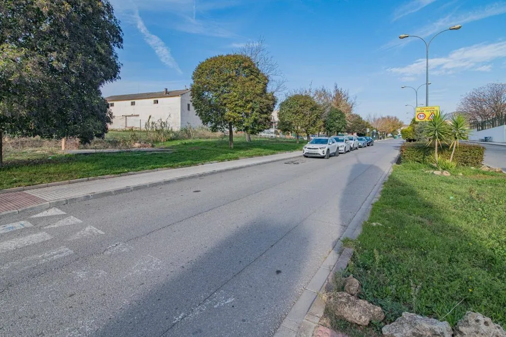 Esterno - Development Land in Peligros Centre