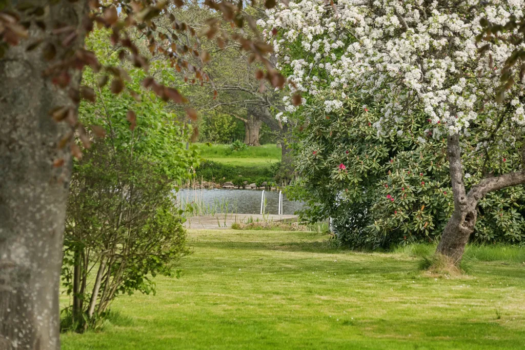 Aed - Villa with Garden to Haderslev Dam