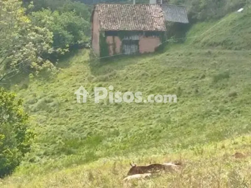 Exterior - Rustic Property with Potential for Development in Onís