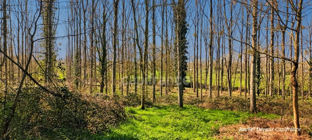 Aed - Wooded Plot with River in Pance