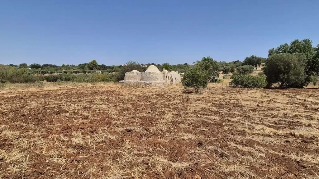 5-room house in IT