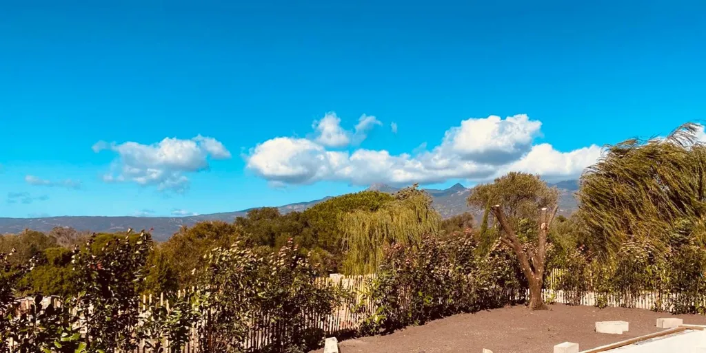 Jardin - Bergerie Contemporaine à Figari avec Vue Mer