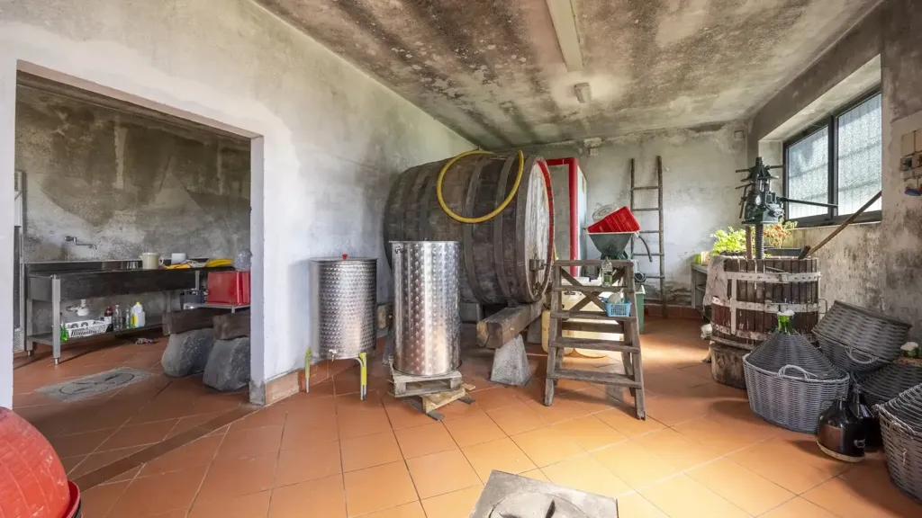 Buanderie - Tuscan Cascina with Olive Grove in Pelago