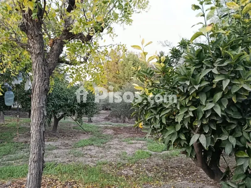 Giardino - Single-Storey Chalet with Garden in Lorca Centre