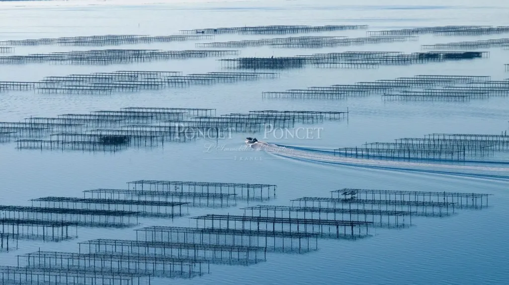 Vue aérienne - Ferme de Coquillages avec Restaurant sur l'Étang de Thau