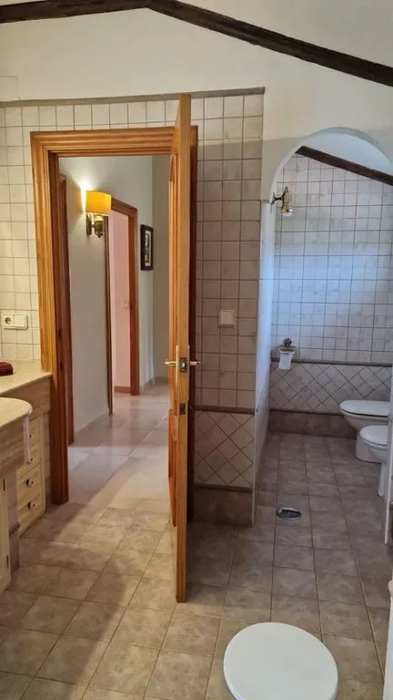 Salles de bain - Luxury Villa with Garden in Mutxamel